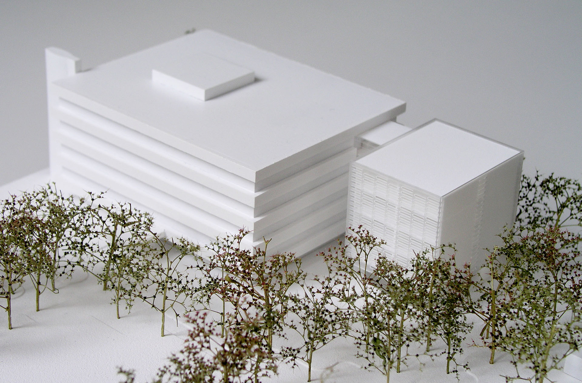 Erweiterung Walter-Eucken-Schule Karlsruhe