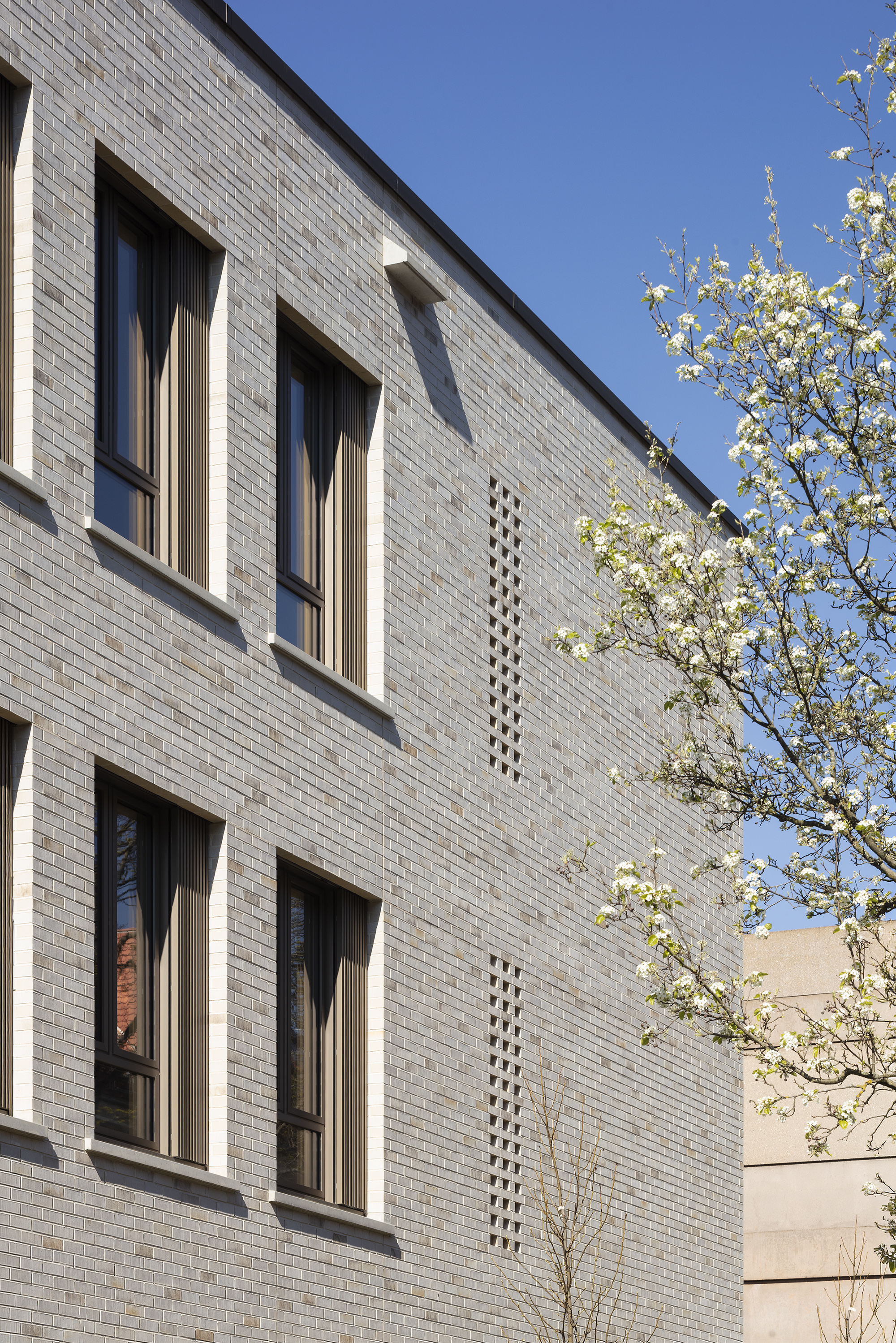 St. Ursula Schulen
